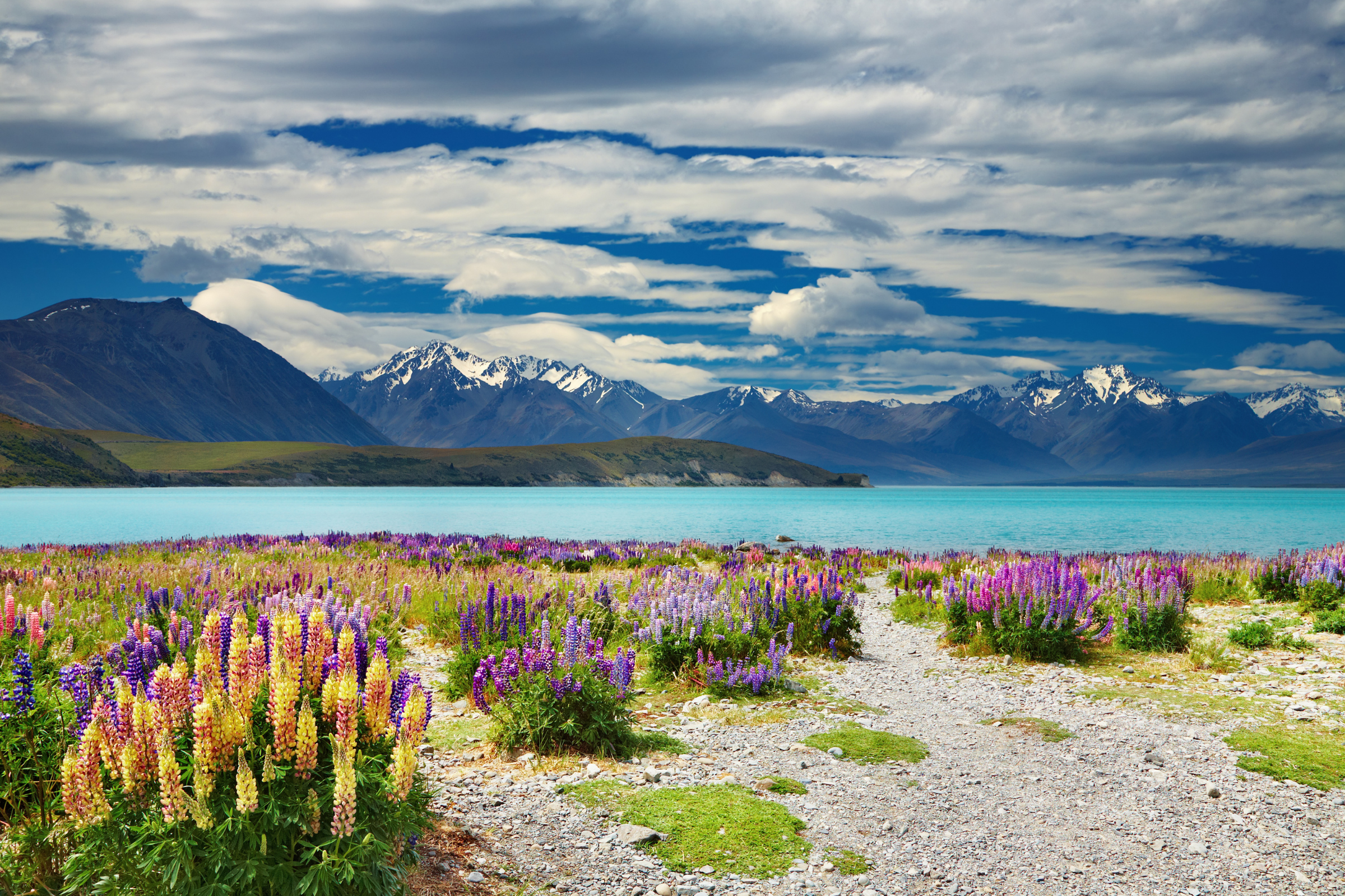 lake tekapo (4).webp